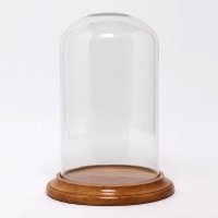 创意玻璃罐摆件玻璃储物罐微观世界摆件APL0438