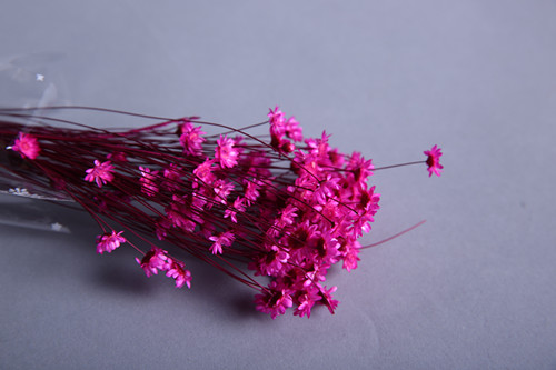 简约小星花干花仿真植物家居装饰2