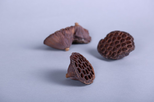 简约田园风格家居饰品天然莲蓬植物摆件3
