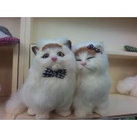 天然真毛可爱情侣猫摆件家居装饰摆件动物摆件