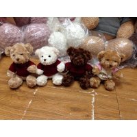 泰迪熊毛绒玩具大号抱抱熊公仔布娃娃玩偶女生生日礼物玩具熊3