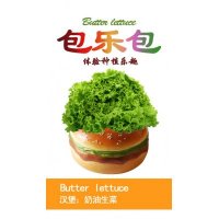 包乐包田园创意绿色小盆栽 款式联系商家
