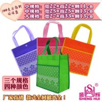 学生袋卡通袋便当包饭盒袋精品袋无纺布袋厂家环保袋购物袋制做