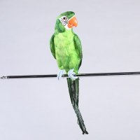 大鹦鹉天然材料编织手工艺动物 家居装饰道具结婚礼物 OO7