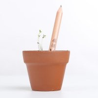 田园创意嫩芽铅笔绿色小盆栽，款式联系商家