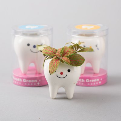 创意迷你牙芽盆栽 办公室桌面绿色小植物 YYPZ