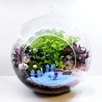 微景观成品套装 景观植物生态瓶 苔藓景观瓶 花瓶