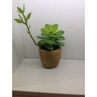 中式田园宝石莲小盆栽仿真植物绿色小盆栽