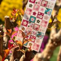 经典樱花祭