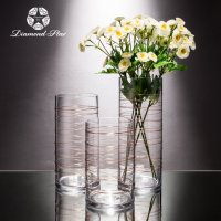 透明宽条纹 玻璃花盆花器时尚玻璃花瓶摆件