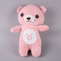 4号星座熊 羽绒棉 抱枕毛绒玩具送女友生儿童婚庆礼物