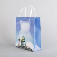 蓝色 白卡纸纸袋礼品手提袋