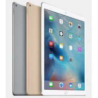 苹果Apple iPad Pro 12.9英寸 256G平板电脑 Retina显示屏(深空灰 WLA