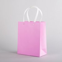 粉红色 简约白卡纸纸袋礼品手提袋