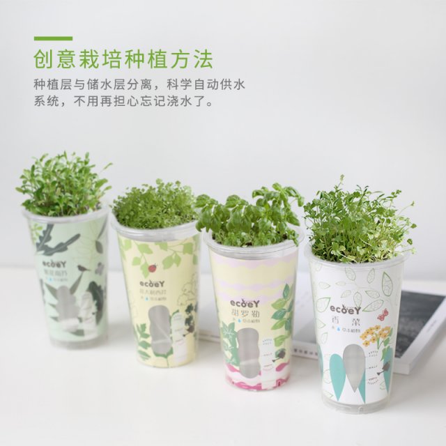 乐活盆栽