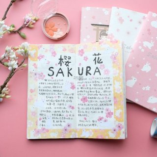NEKONI Original Design Sakura notebook