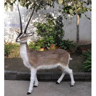 仿真野生动物仿真羚羊 simulation animal antelope