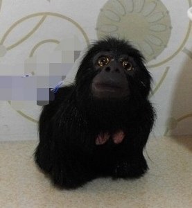 仿真野生动物仿真猩猩 simulation orangutan