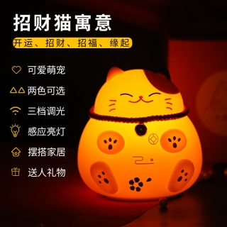 创意新品招财猫小夜灯USB充电硅胶拍拍灯喂奶灯智能声控感应灯