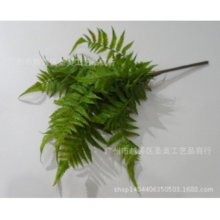 仿真波斯草塑料草 植物墙蕨草 羊齿蕨仿真植物排草蕨婚庆摄影道具