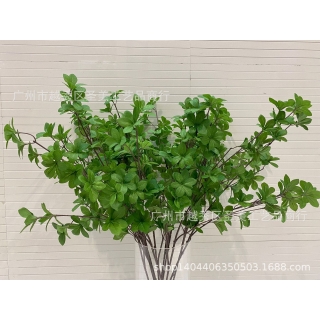 仿真吊钟叶多瓣叶森林系仿真绿色植物七星叶落地软装花材厂家直销
