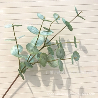 仿真植物3D打印尤加利叶大支金钱叶婚庆装饰家居摆饰假花盆景绿植