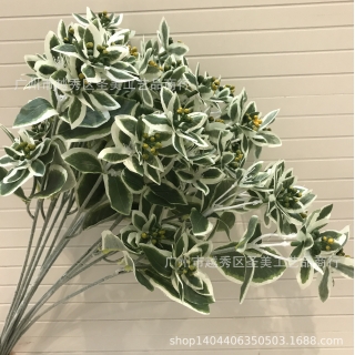 仿真植物 仿真鸣子叶 白边叶银叶菊高档仿真花插花配材仿真叶批发