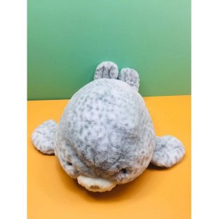 70cm海豹