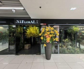 宁芙家居