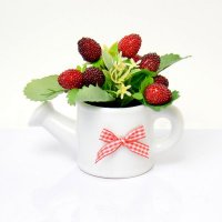 高仿真塑料大壶花盆+草莓套装小水果假水果蔬菜模型 摄影道具家居时尚装饰摆件FZSG-001