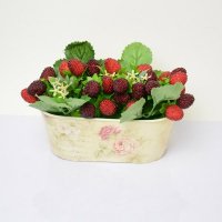 高仿真塑料浴缸花盆+草莓套装小水果假水果蔬菜模型 摄影道具家居时尚装饰摆件FZSG-003