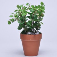 高仿真植物盆景绿植陶瓷盆栽植物装饰仿真小绿植盆栽室内仿真盆景D628144